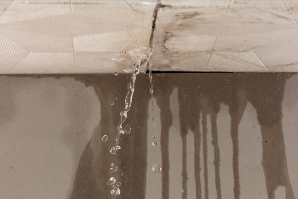Professional Water Damage Inspection technician working in Forestdale, AL